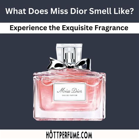 miss dior frangrance|what does miss dior smell like.